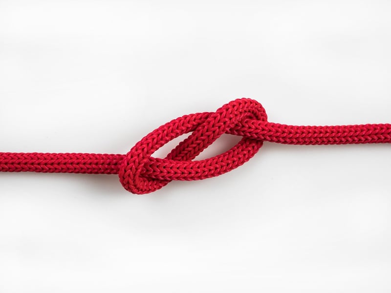 Unexpected Twists